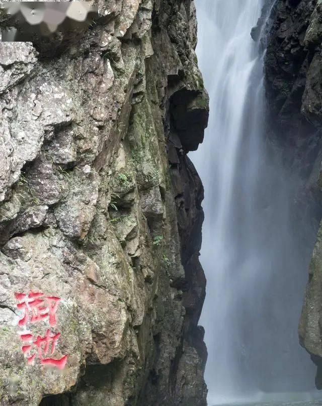 杀手6